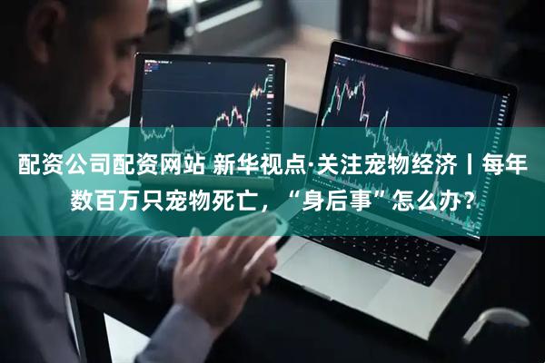 配资公司配资网站 新华视点·关注宠物经济丨每年数百万只宠物死亡，“身后事”怎么办？